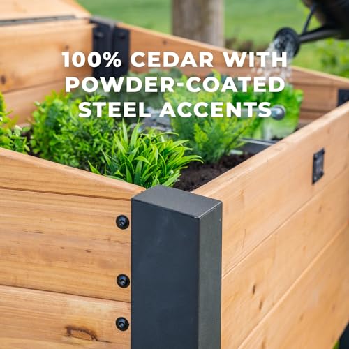 Image of Backyard Discovery Aggie 4' x 2' Cedar Wood Cold Frame Portable Mini Greenhouse, Raised Garden Planter with Temperature-Activated Polycarbonate Lid, Mesh Drainage for Year-Round Outdoor Gardening