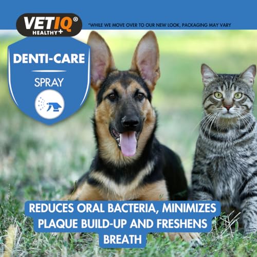 VETIQ Denti-Care Dental Spray for Dogs & Cats – No Brushing Required, Helps Reduce Oral Bacteria, Supports Gum Health, Freshens Breath with Pomegranate & Peppermint – 100ml - Image 4