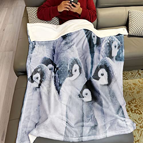 Kuscheldecke Flauschige Extra Weich & Warm Wohndecke Flanell Fleecedecke , Falten Beständig/Anti-verfärben Als Sofadecke Oder Bettüberwurf