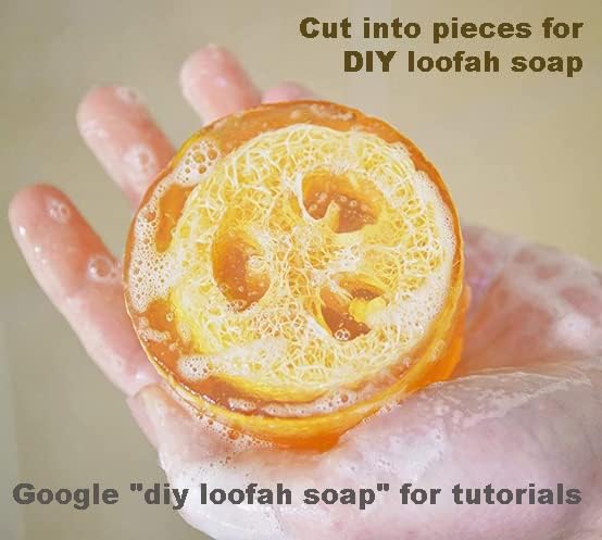 Miniatura 4 de Especial! Esponja de esponja natural de baja densidad de 2 quilates, esponja exfoliante corporal y esponja corporal de lufa, esponjas de ducha para