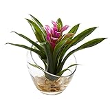 Nearly Natural 8in. Tropical Bromeliad in Angled Vase Artificial Arrangement