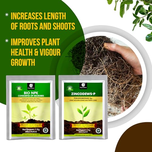 Image of OrganicDews Bio NPK Consortia + Zinc Solublizing Bacteria 1 Kg Combo Inoculum Fertilizer for Plants - Soil Fertility, Faster Plant Growth and Increases the Yield