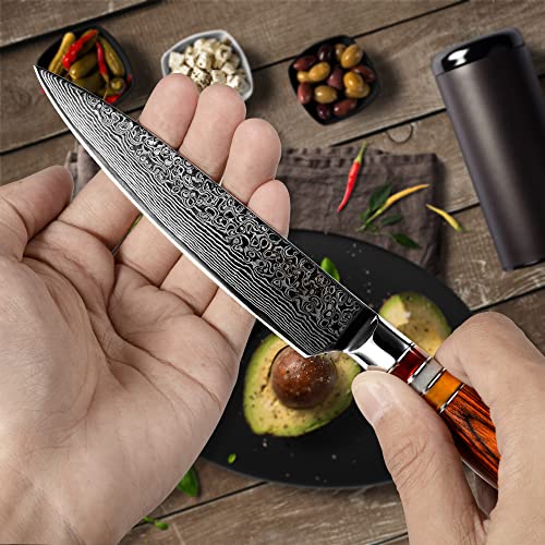 [6-Inch]Utility Paring Knife Fanteck Chef Knife Damascus Stainless Steel Vg10 Pro Razor Sharp Blade High Carbon 67-Layer Kitchen Cutlery Cutting Fruit Utility Knife Gift Box-Ergonomic Pakkawood Handle #TOP3
