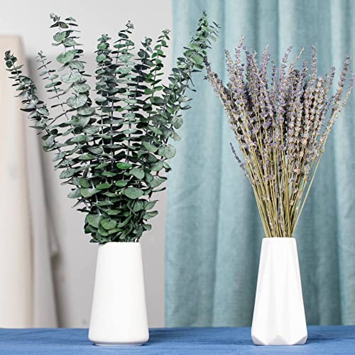 Image of Mixed Dried Eucalyptus Stems with Lavender Flowers Bundle for Shower, 17'' Natural Eucalyptus Leaves Branches Hanging Shower Plant for SPA Home Fragrance Bathroom Table Vase Decor, 2 Pack