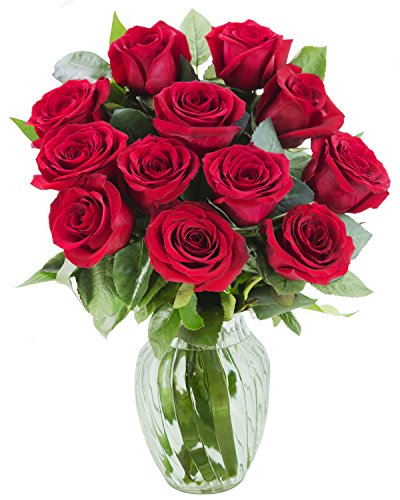 KaBloom 12 Fresh Red Roses