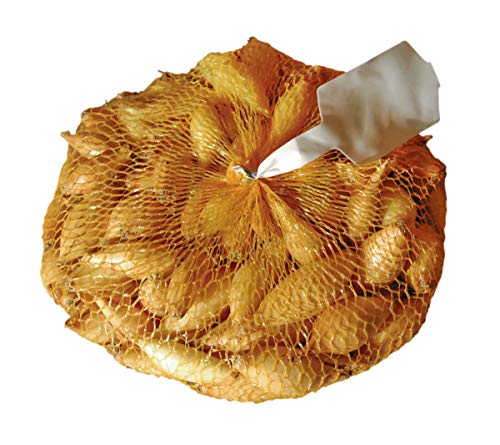 Chrestensen Steckzwiebel Corrado 250g - Längliche ovale Speisezwiebel fester Geschmack 14-21mm
