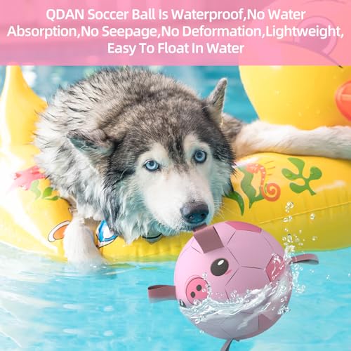 Image of QDAN Dog Toys Soccer Ball with Straps, Balls for Dogs, Pig Dog Toy, 8 Inch | Interactive Dogs Toys for Tug of War, Puppy Birthday Gifts, Dog Water Toy, Durable Dog Balls Toys for Medium & Large Dog