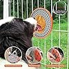 Lick-Mat-for-Dogs-WHDPETS-Interactive-Dog-Toys-Lick-Pads-Slow-Feeder-Training-Tools-3-in-1-Dog-Treat-Balls-Lick-Pad-Slow-Feeder-for-Dogs-Cats Interactive Lick Mat for Dogs - WHDPETS Slow Feeder & Treat Dispenser