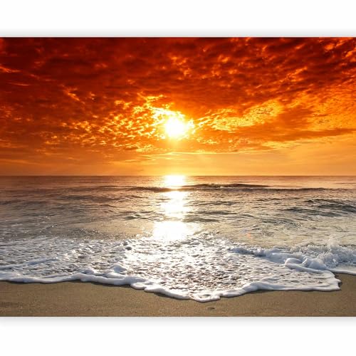 murando - Fotomurales Mar 250x175 cm XXL Papel pintado tejido no tejido Decoración de Pared decorativos Murales moderna de Diseño Fotográfico naturaleza 100403-257