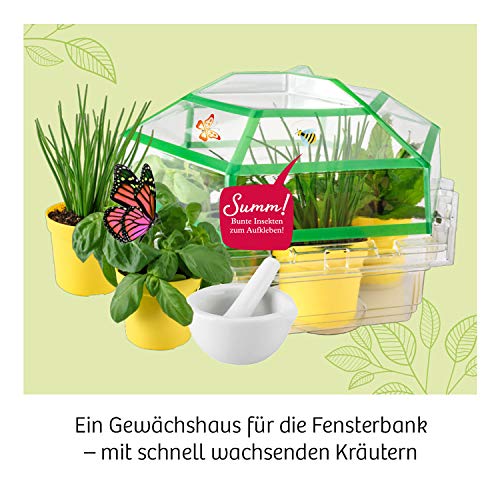 KOSMOS 632090 - Kräuter-Garten, Züchte duftende Kräuter auf der Fensterbank, Mit Gewächshaus und Mörser aus Porzellan, Experimentierkasten für Kinder ab 6 Jahre - 3