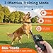 Chtoocy GPS Wireless Dog Fence, Electric Dog Fence Outdoor for Yard, Rechargeable, 25-999 Yards Adjustable Boundary, Real-Time Distance, Waterproof Collar, 3 Warning Modes Pet Containment System