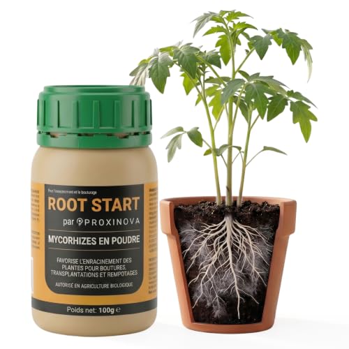 PROXINOVA Hormone de Bouturage avec Trichoderma et Mycorhize - Mycorhizes en Poudre comme Stimulateur de Racines pour Bouturage et Plantes, Intérieur et...