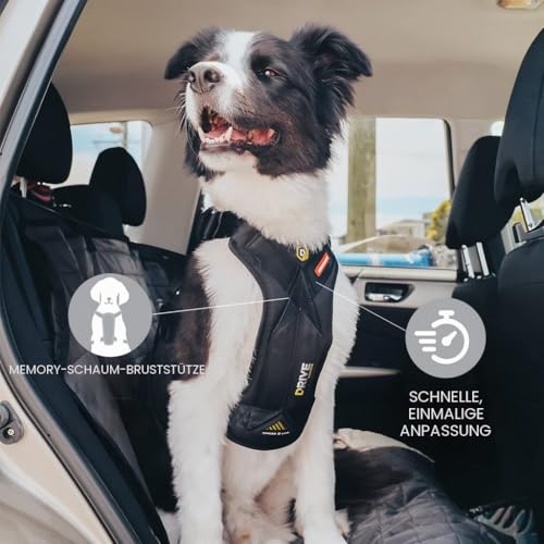 EzyDog Autogeschirr Hund – Crash-Getestet nach ECE R21 – Drive Sicherheitsgeschirr mit integrierter Gurtbefestigung fürs Auto (S, Schwarz)