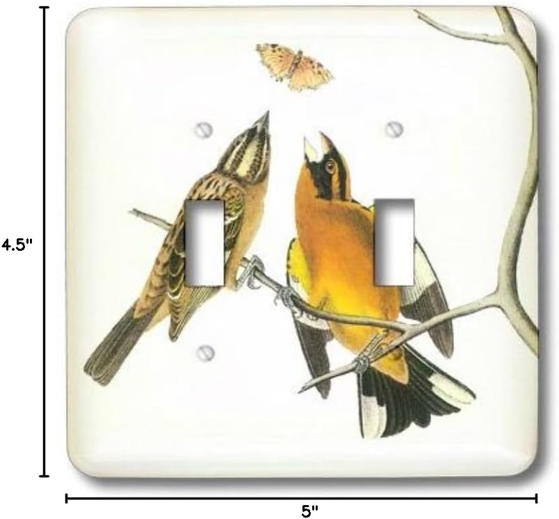 3dRose LLC 3dRose LLC lsp_151964_2 Birds with Butterfly vintage - Double Toggle Switch