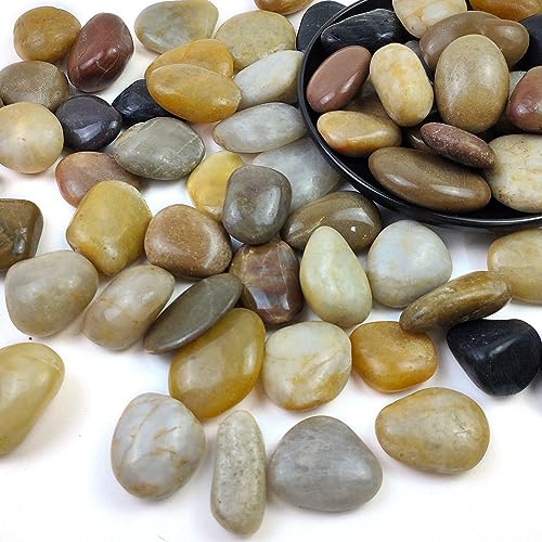 SHIZWU 20LB High Polished Colorful River Rocks