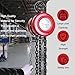 AAIN Hand Chain Hoist, 10 Feet with 2 Heavy-Duty Hooks. Manual Hand Lift Steel Chain Block Hoist for Lifting Goods in Transport and Workshop - 2 Ton (4400 lbs) Capacity