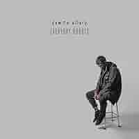 Damon Albarn Everyday Robots LP レコード Damon Albarn – Everyday Robots – CD (Album), 2014 [r5641168