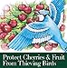Dalen Bird X Protective Mesh Netting - Keep Birds and Pests Away from Your Garden – Non Toxic - Made in The USA - 28' x 28'