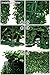 GorgeousHome Artificial Hedge Plant Panels, Privacy Screen Hedge,Greenery Ivy Privacy Fence Screening for Both Outdoor or Indoor Decoration,20