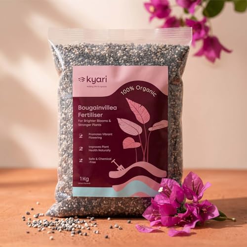 Image of Kyari Bougainvillea Fertilizer 1kg | Plant Food for More Flowers, Bright Colour Blooms & Healthy Vine Growth | Promotes Faster Flowering for Home Garden Plants