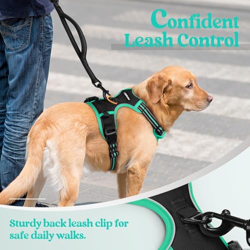 Image of rabbitgoo Dog Harness No Pull with 2 Leash Clips, Adjustable Soft Padded, Reflective Oxford No Choke Pet Vest with Easy Control Handle for Large Dogs, Black & Turquoise, XL