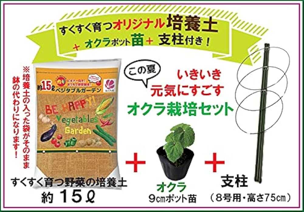 Amazon.co.jp: オクラ栽培セット 苗と土と支柱の3点セット 自根