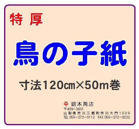 Ŏ zp̎q PQOcm×TOm F705