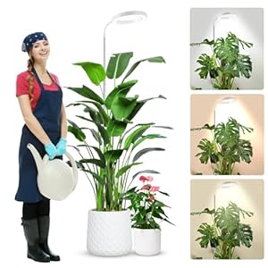 Wolezek Led-plantenlamp, volledig spectrum, 80 leds, 6500 K, groeilamp, 160 cm grote groeilamp, 3 kleuren, met 360 graden zwanenhals, 6/12/16-uurs timer, 5 helderheidsniveaus, in hoogte verstelbaar