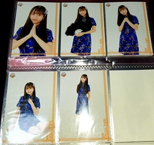 森本くるみ SKE48 ランダム 生写真 Family 限定 チャイナドレス 5種コンプ & 日本ガイシホール 公演記念 14周年 3種コンプ 2022 9月