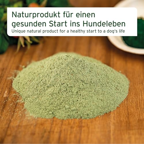 AniForte Junior Active für Welpen und Junge Hunde 250g - Für Knochen, Sehnen, Bänder, Zahn Entwicklung von Welpen & Junghunden. Puppy Ergänzung mit Kalzium, Vitaminen und Mineralien