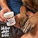 DOGSWELL Remedy Recovery Styptic Blood Stopper Powder for Dogs & Cats 1.5 oz. Container