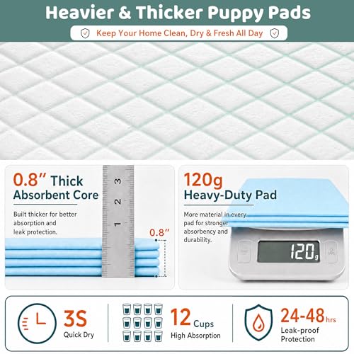 Image of Gimars XXXL 31X47 inch 40 Count 1200ML Super Absorbent Thicken 6-Layer Ultra Large Dog Pee Pads - Leak-Proof Odor-Control Quick-Dry Training Pads for Large Senior Dogs, Puppies, Cats & Pets