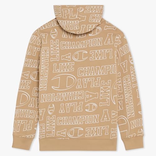 Image of Champion boys Graphic Hoodie Pullover Sweatshirt for Kids With Stylish Embellishments