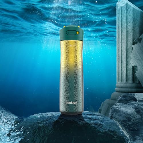 Image of Contigo Ashland Chill Stainless Steel Water Bottle with Leakproof Lid & Straw, Water Bottle with Handle Keeps Drinks Cold for 24hrs & Hot for 6hrs, Great for Travel, School, Work, & More, 24oz