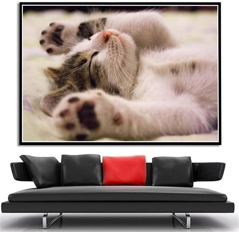 Ragdoll - Kit de pintura de diamantes para adultos, 5D con diseño de animales, para mascotas, kit de pintura de diamante, arte bordado, decoración