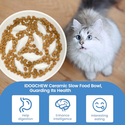 IDOGCHEW Keramik Anti Schling Napf Katze Erhöht, Schlingnapf Katze Nassfutter - Slow Feeder, rutschfest, Einfach zu Reinigen, Antischlingnapf für Katzen und Kleine Hunde, Weiss