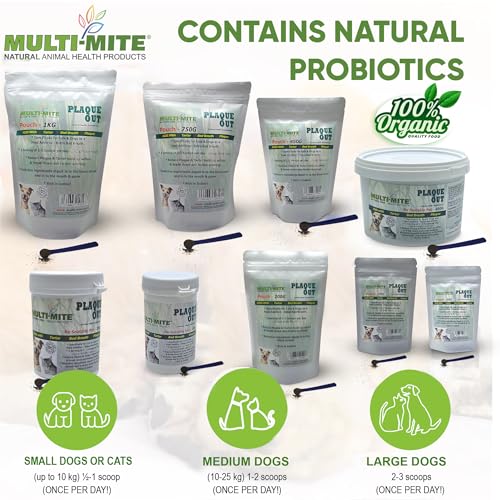 PLAQUE OUT 100g Pot, Plaque Off Remover, 100% Natural and Organic Seaweed Powder for Dogs & Cats, Dog Teeth Cleaning - Image 3