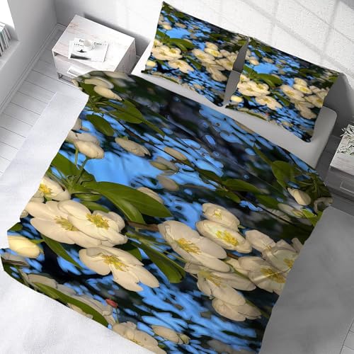 zcJo[ VO 3_Z  QJo[ZbgzcJo[|GXe100 DG _炩ʋC^Cvh_jlGʗp(150x210cm)2Jo[(43x63cm)