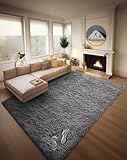Ophanie 8x10 Area Rugs for Living Room, Upgrade Non-Slip Fluffy Soft Large Shag Bedroom Carpet, Grey Big Indoor Thick Nursery Rug, Gray Carpets for Boy and Girls Room Dorm Home Decor Aesthetic