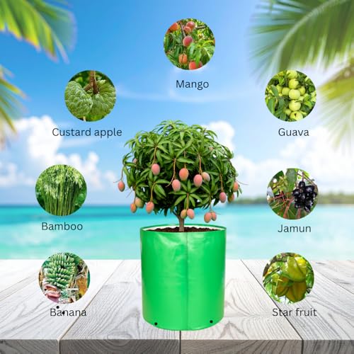 Image of 24x24 Inch HDPE Grow Bag (340 GSM) | UV Protected, Reusable, Heavy Duty Garden Bag for Vegetables, Fruits & Big Trees - Pack of 2
