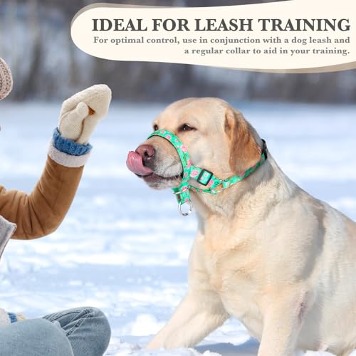 DOMIGLOW No-Pull Dog Headcollar, Gentle Lead for Large Dogs to Stop Heavy Pulling, Anti-Pull Head Halter Muzzle for Easy Control on Walks (Green, X-Large) — view 6
