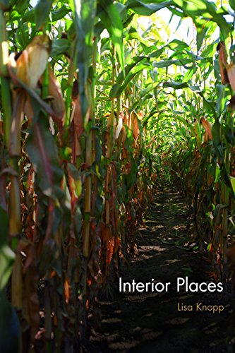 Interior Places view 2