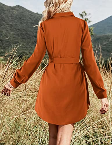 Amoretu Womens Shirt Dresses Long Sleeve Button up Work Dress with Pockets3
