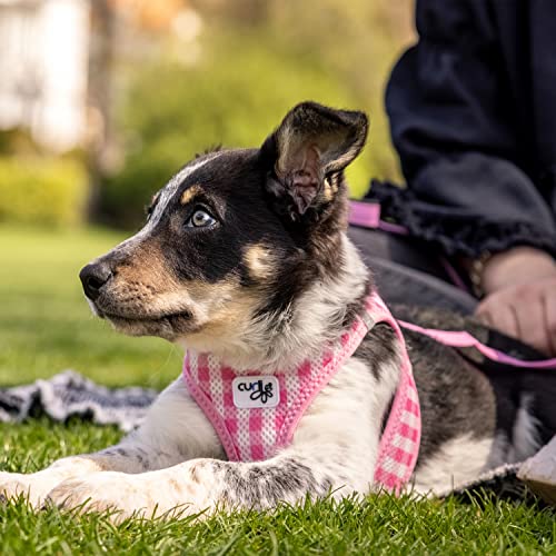 Vest Harness curli Clasp Air-Mesh Pink-Caro XS & Leash M