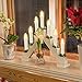 12 PCS LED Window Flameless Taper Candle,Battery Operated Flickering Candle Lights, with Remote Timer Function, Ideal for Indoor and Outdoor Christmas Tree Candles Garden Wedding Harry Potter