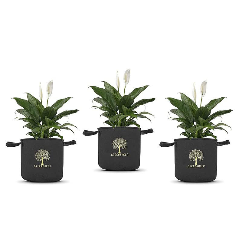 Image of GREENSHEEP Geo Fabric Grow Bags with Handles-Breathable and Reusable Plant Bags for Indoor (Dark Grey) (Pack of 3) (Size-24x24)