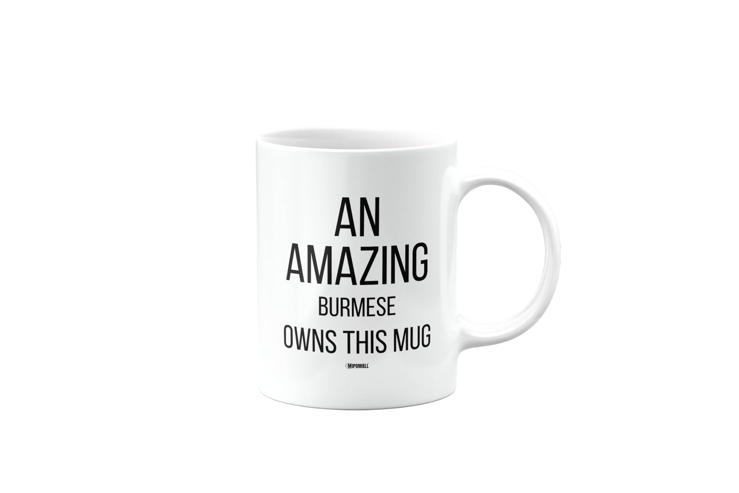 MIPOMALL Mug for A Burmese Man or Woman, an Amazing owns This Mug, Birthday Gifts for Men or Women, Presents for Christmas, Cup, mm-CA_295_24