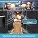 Lassie Dog Car Seat Covers for Back Seat with 2 Seat Belts, Waterproof Dog Car Hammock with Mesh Window Durable Scratch Proof Nonslip Pet Carseat Covers Universal Fit Protector for Cars, Trucks & SUVs