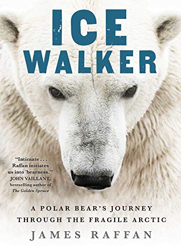 Ice Walker: A Polar Bear's Journey through the Fragile Arctic