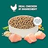 Nutrish Rachael Ray Dry Dog Food Puppy, Real Chicken & Brown Rice Recipe, 13 lb. Bag #3